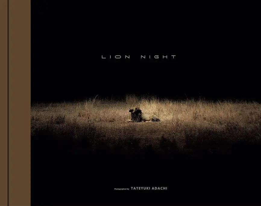 LION NIGHT