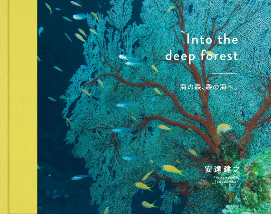 Into the deep forest 海の森、森の海へ。