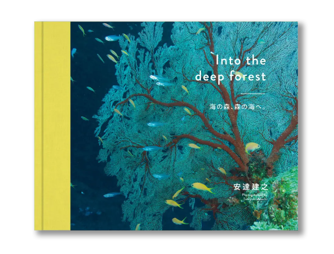 Into the deep forest 海の森、森の海へ。