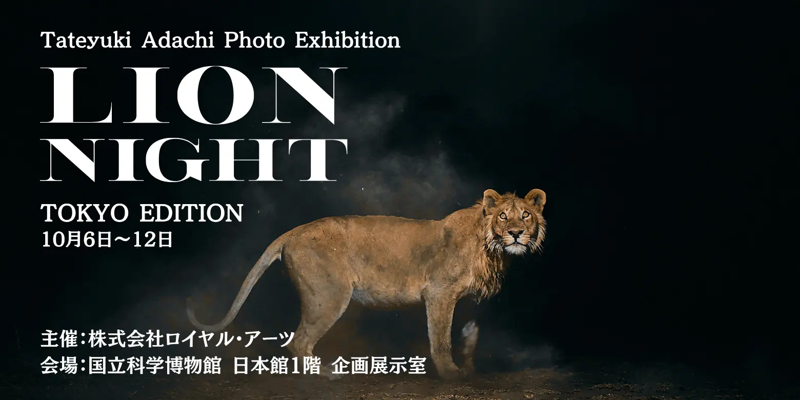 安達建之写真展 LION NIGHT TOKYO EDITION